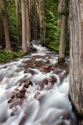 Glacier National Park