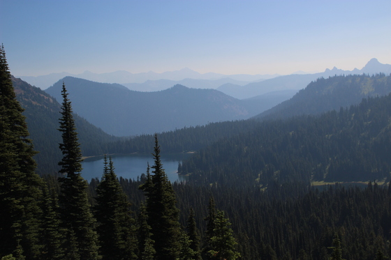Mount Rainier National Park