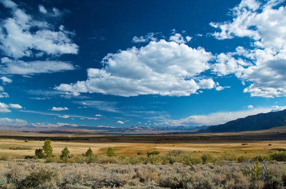 Mono Basin National Forest Scenic Area