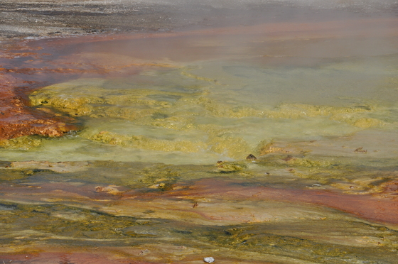 Yellowstone Nat park