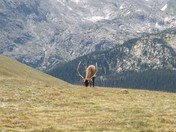 Rocky Mountain National Park