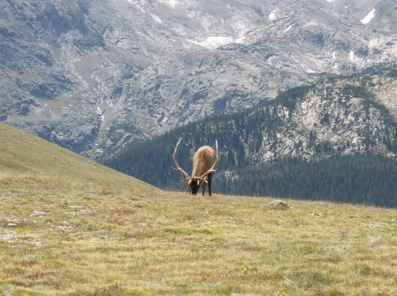 Rocky Mountain National Park