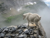 Glacier National Park