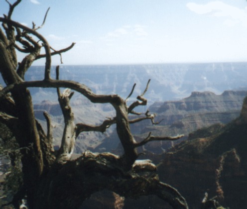 GRAND CANYON