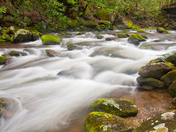 Great Smoky Mountains National Park