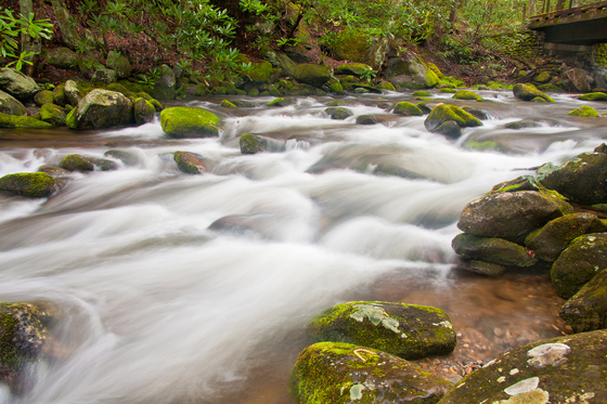Great Smoky Mountains National Park