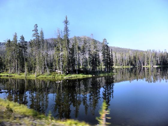 YELLOWSTONE
