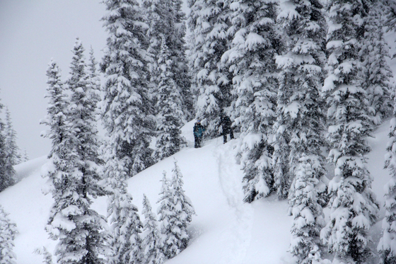 Alpine Lakes Wilderness