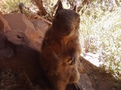 Grand Canyon National Park