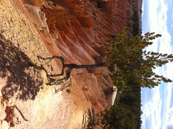 Bryce Canyon