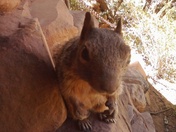 Grand Canyon National Park