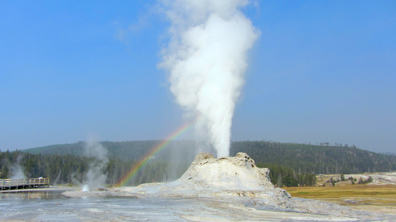 Yellostone National Park