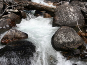 Gand Teton National Park