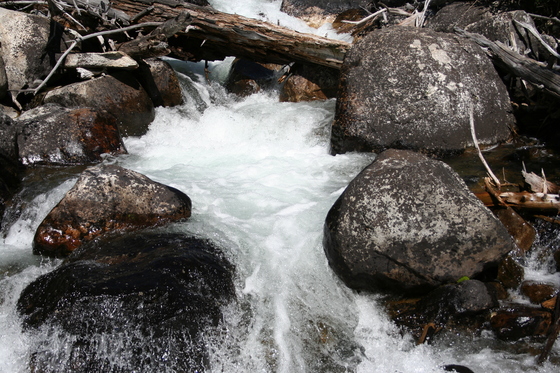 Gand Teton National Park