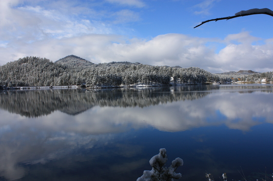 Black Hills