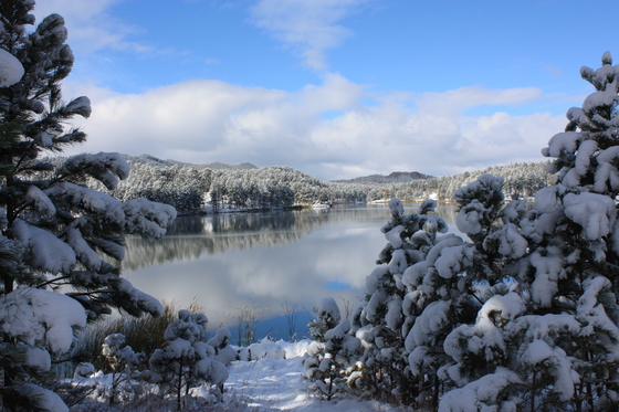 Black Hills
