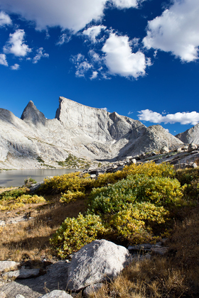 Bridger Teton National Forest