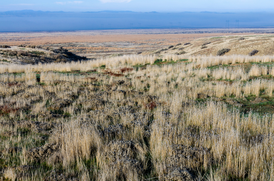 Carrizo Plain NM