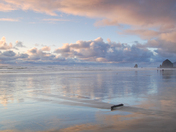 Oregon Islands National Wildlife Refuge