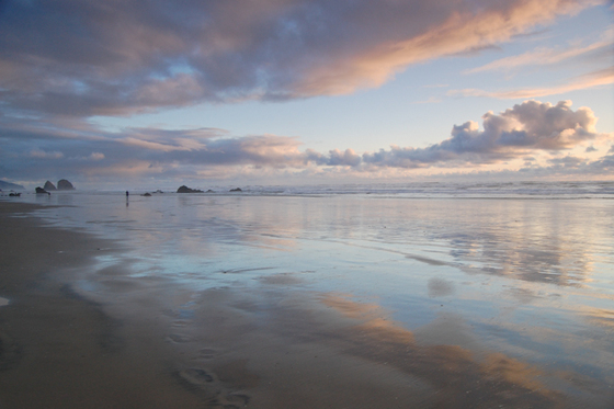 Oregon Islands National Wildlife Refuge