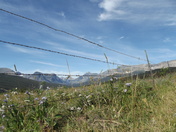 Glacier National Park