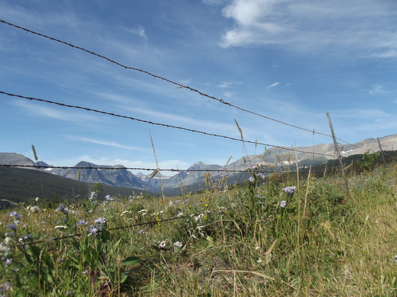 Glacier National Park