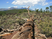 Sunset Crater Volcano