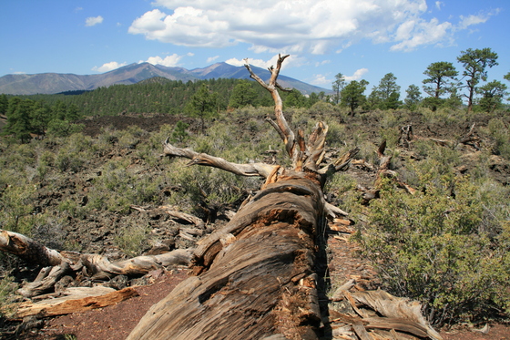 Sunset Crater Volcano