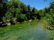 Coconino National Forest