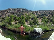 San Bernardino National Forest