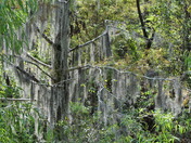 Black Bayou national Wildlife Refuge