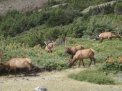 Rocky Mountain National Park