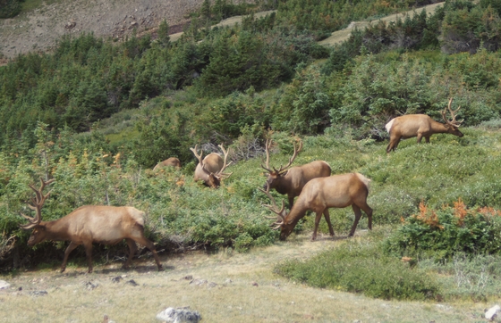 Rocky Mountain National Park