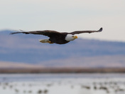 Tule Lake National Wildlife Refuge