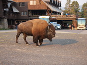 Yellowstone National Park