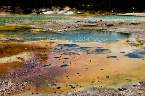Yellowstone National park, Wyoming
