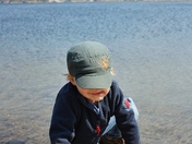 Shoshone National Forest