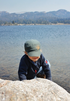 Shoshone National Forest