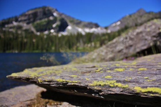 Mission Mountains Wilderness Area