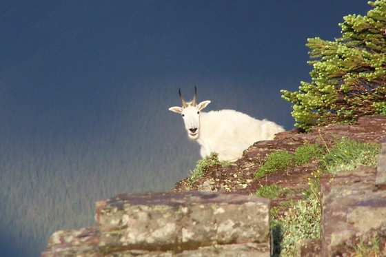 glazicer national park