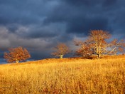 Shenandoah National Park