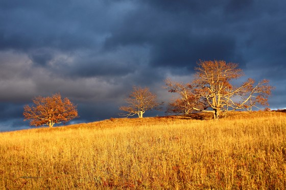 Shenandoah National Park