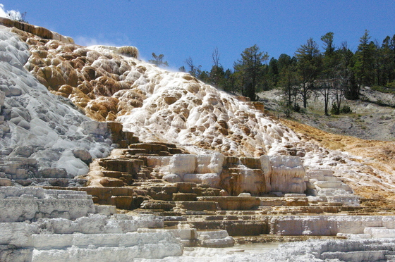 Yellowstone National Park