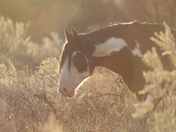 Theodore Roosevelt National Memorial Park