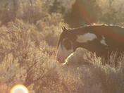 Theodore Roosevelt National Memorial Park