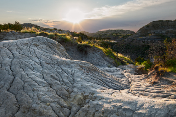 Theodore Roosevelt National Park