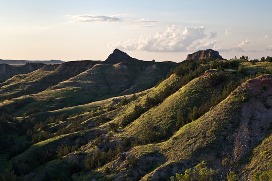 Theodore Roosevelt National Park