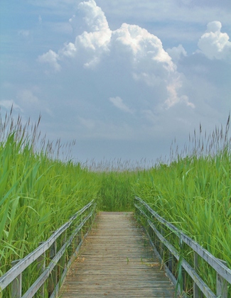 Back Bay National Wildlife Reseve