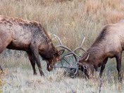 Rocky Mountain National Park