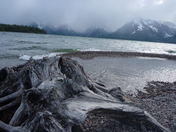 Grand Teton National Park